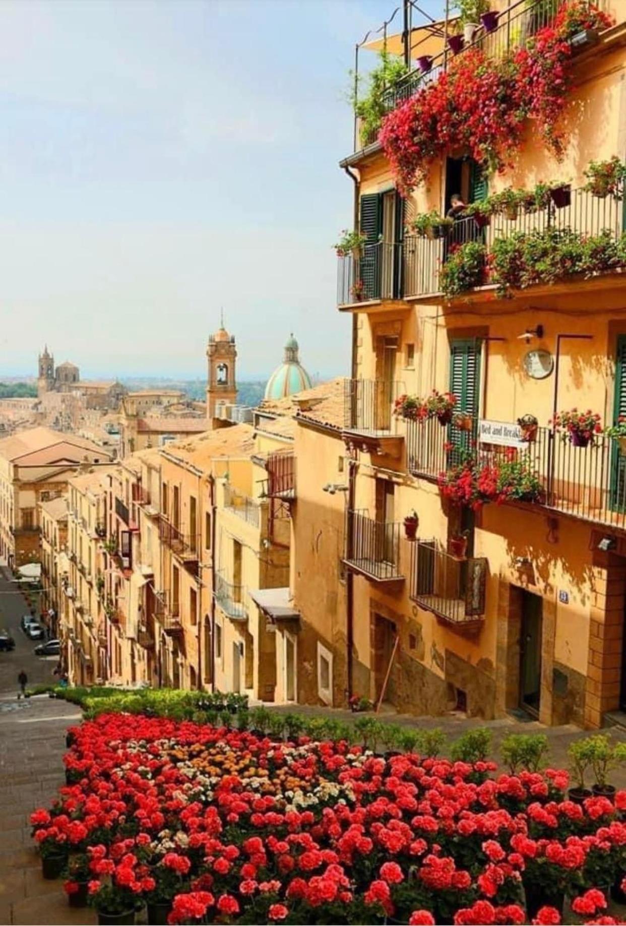 كالتاجيروني Casa Tipica Siciliana Patronale Home Bedandbreakfast Tremetrisoprailcielo Camere Con Vista, Colazione Interna In Terrazzo Panoramico المظهر الخارجي الصورة
