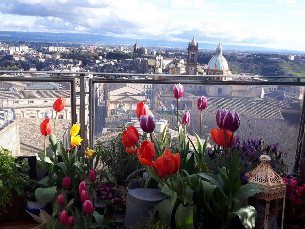 كالتاجيروني Casa Tipica Siciliana Patronale Home Bedandbreakfast Tremetrisoprailcielo Camere Con Vista, Colazione Interna In Terrazzo Panoramico المظهر الخارجي الصورة
