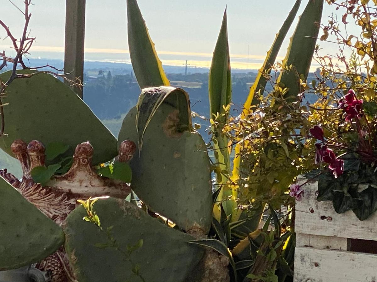 كالتاجيروني Casa Tipica Siciliana Patronale Home Bedandbreakfast Tremetrisoprailcielo Camere Con Vista, Colazione Interna In Terrazzo Panoramico المظهر الخارجي الصورة